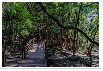 덱로드와 전망덱